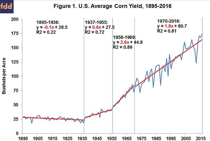 The Role Of Weather In The Pattern Of Corn Prices Over Time